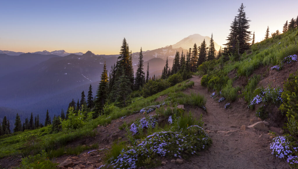 Naches Peak Loop trail at sunset, sun setting over hill with mountains in background