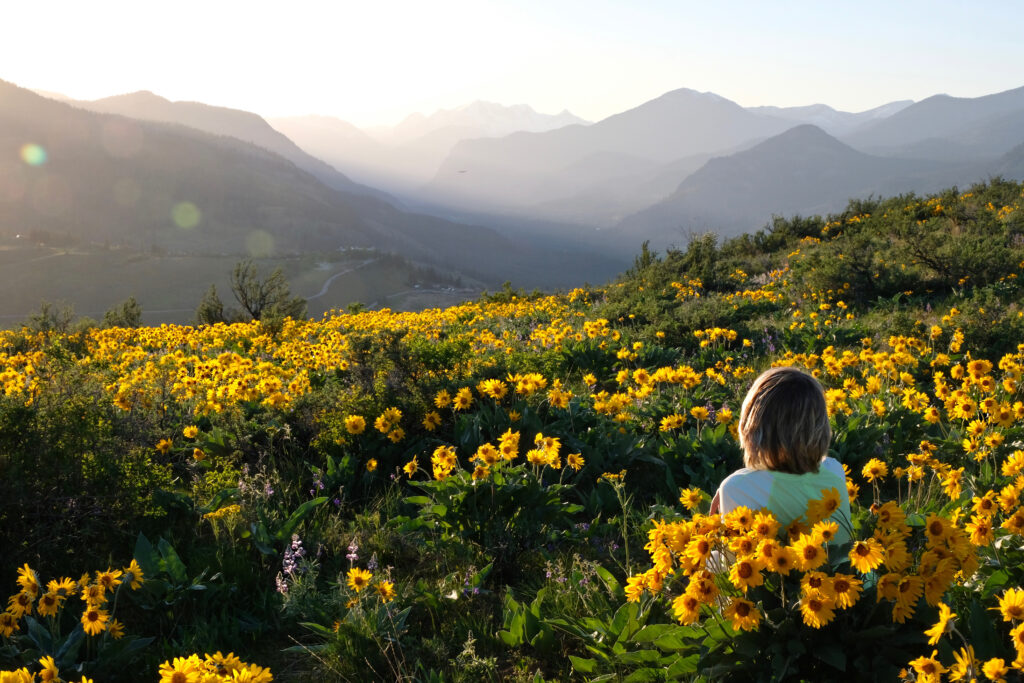 Carefree woman lying on meadow with sun flowers enjoying sunrise over mountains and relaxing in a field of flowers, Greater Northwest Orthodontics